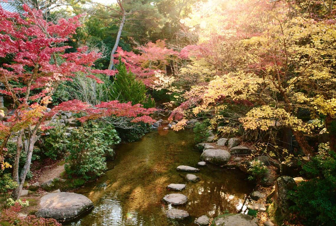 Day Trip to Miyajima