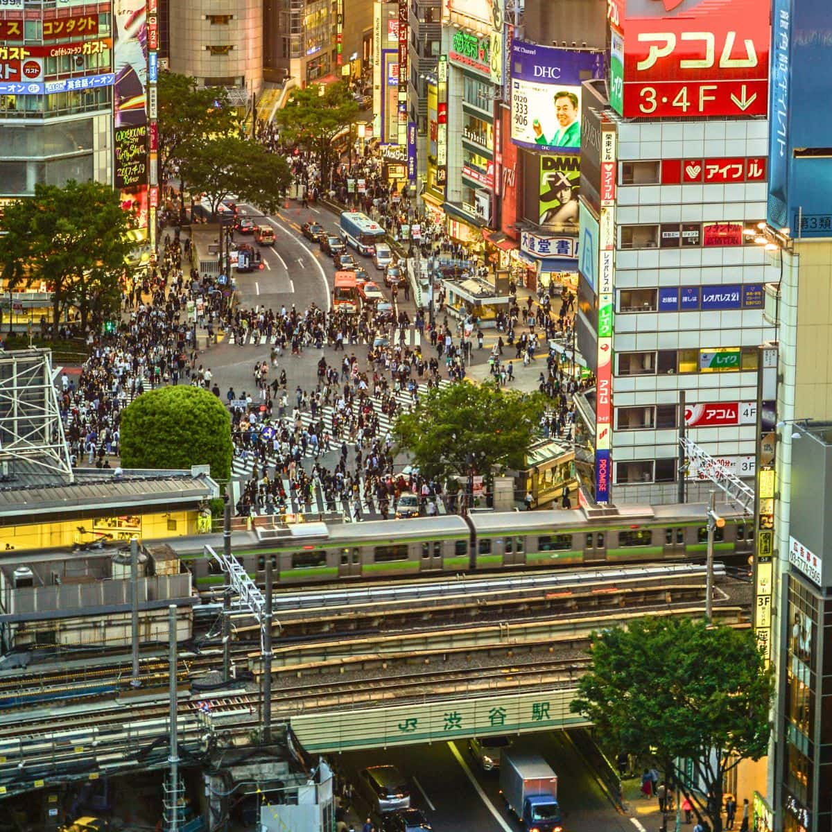 Shibuya and Harajuku Walking Tour View from Hikarie