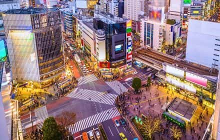 What to Do in Shibuya