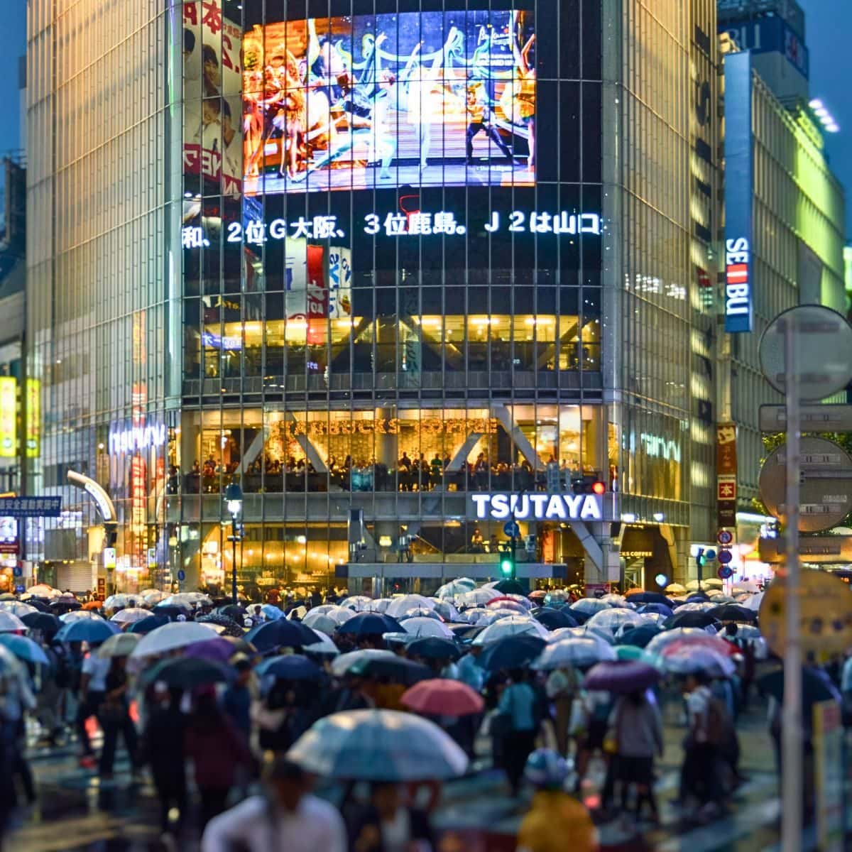 What to Do in Shibuya