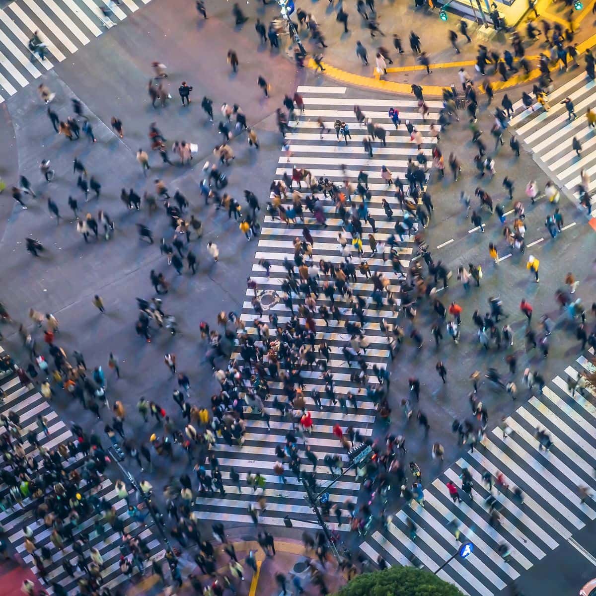 What to Do in Shibuya What to Do in Shibuya
