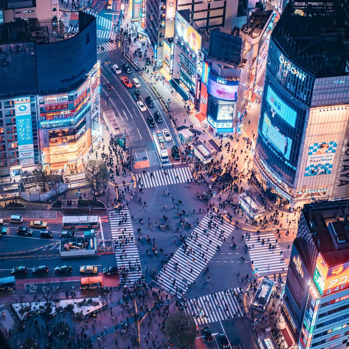 What to Do in Shibuya What to Do in Shibuya