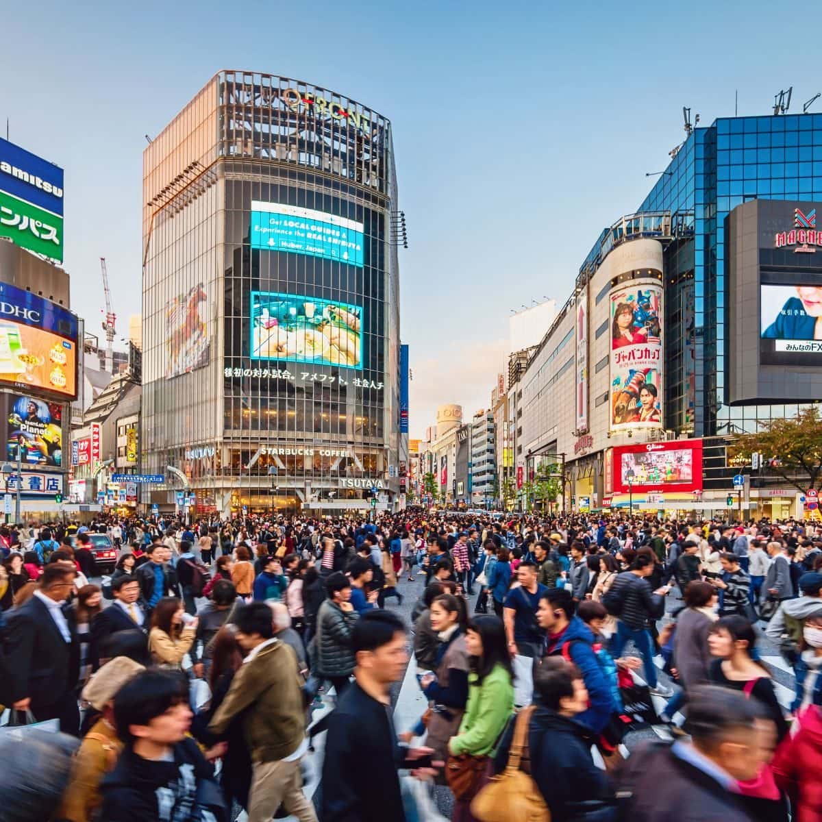 Shibuya and Harajuku Walking Tour Shibuya Crossing