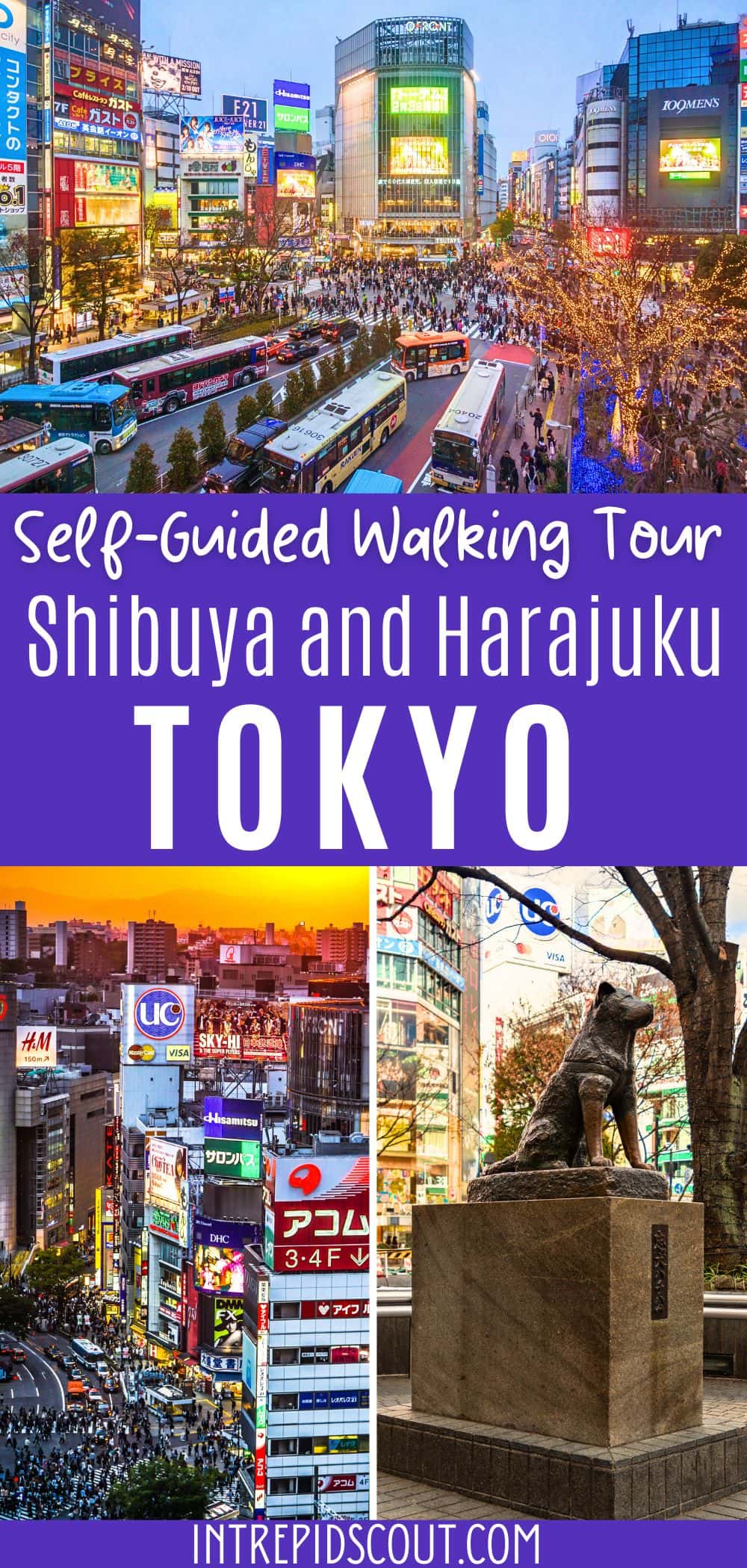 Shibuya and Harajuku Walking Tour