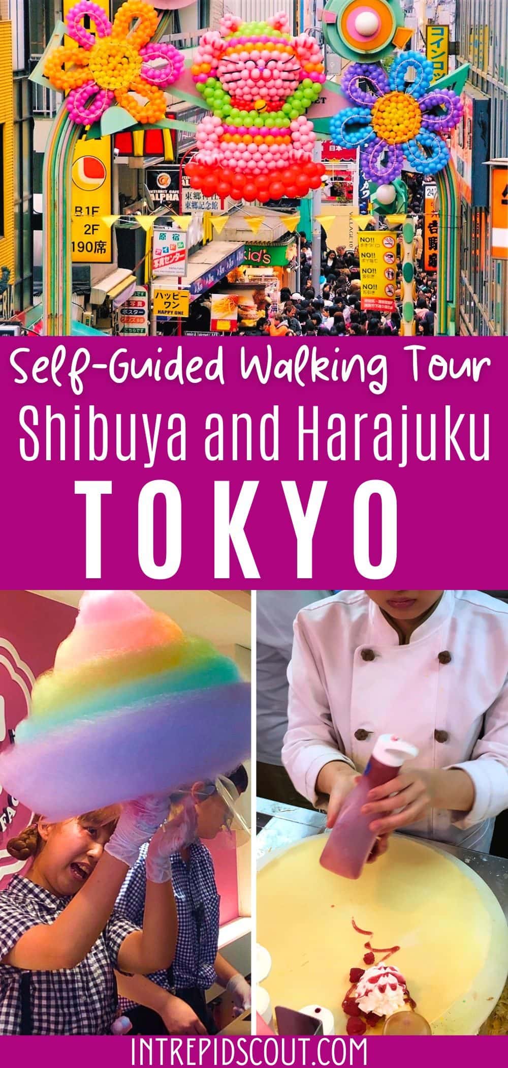Shibuya and Harajuku Walking Tour Shibuya and Harajuku Walking Tour