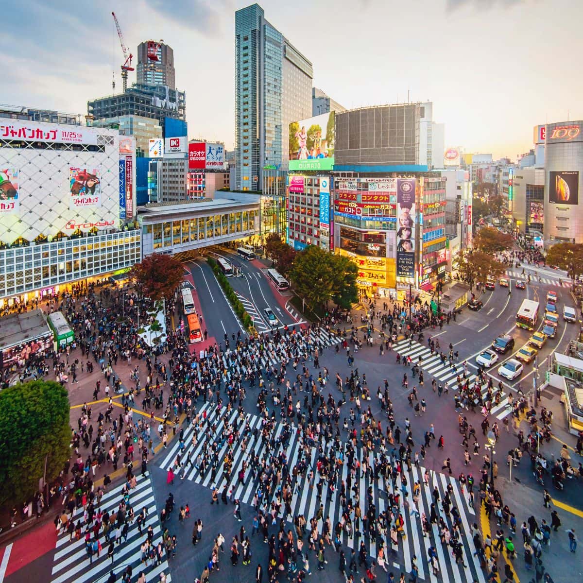 Shibuya and Harajuku Walking Tour