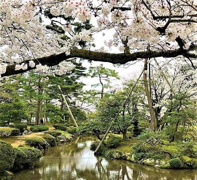 Kenrokuen Garden 