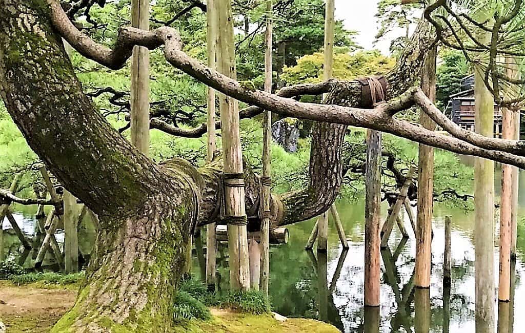 Kenrokuen Garden