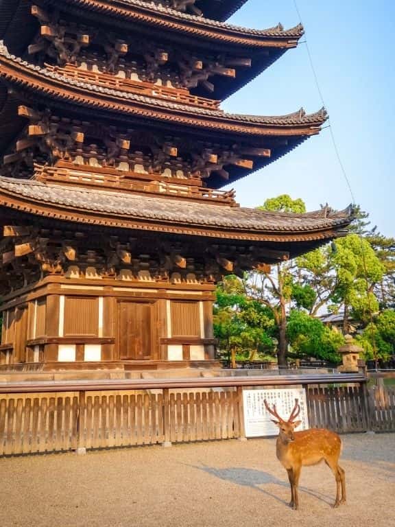 Five-Story Pagoda in Nara