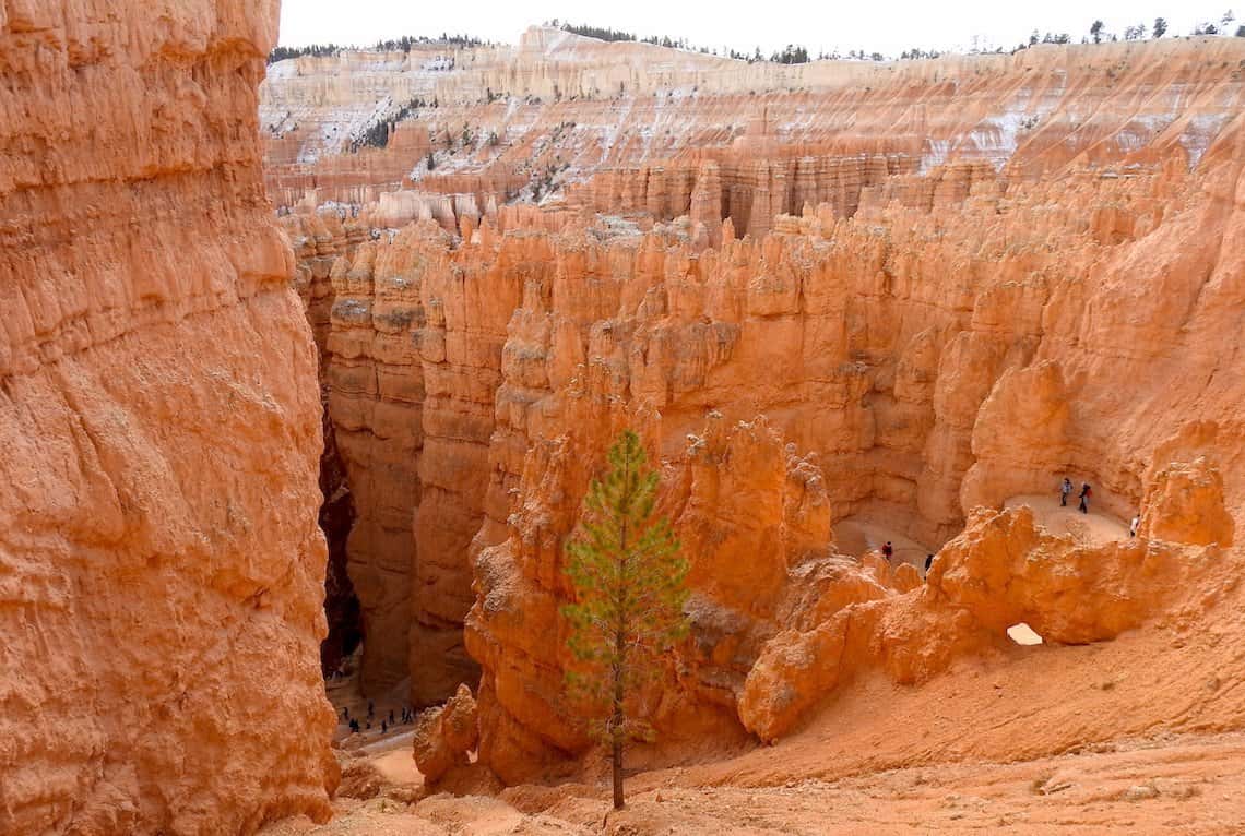 Navajo Loop Trail In Bryce Canyon National Park