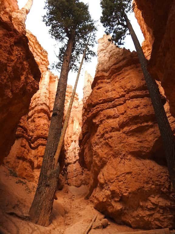 Navajo Loop Trail in Bryce Canyon National Park.