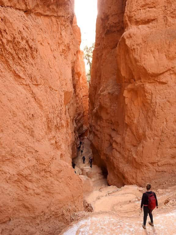 One Day in Bryce Canyon