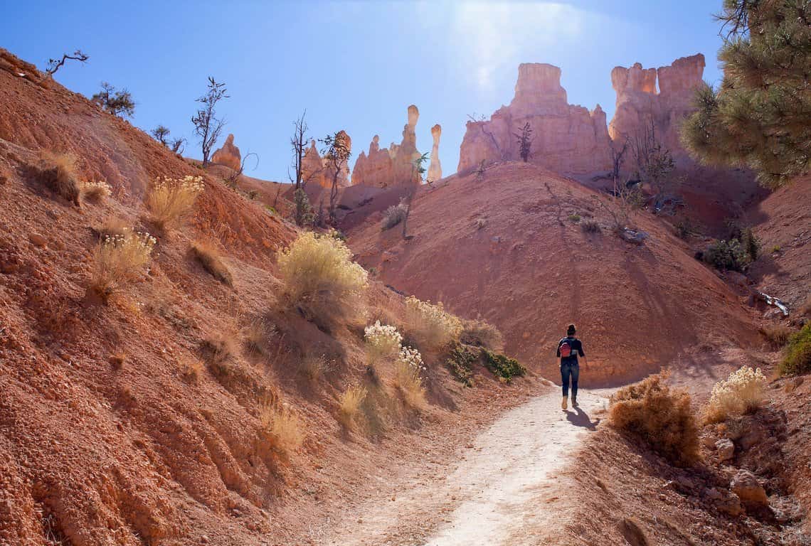 Peek-A-Boo Trail In Bryce Canyon