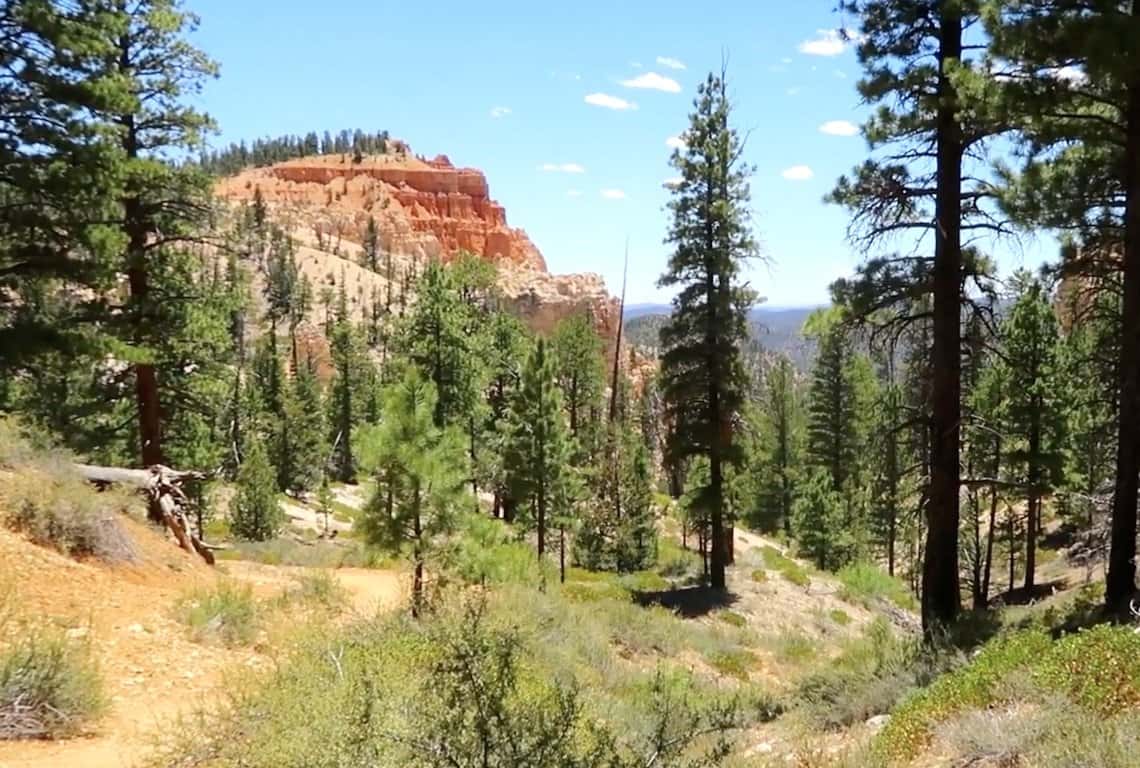 Sheep Creek and Swamp Canyon Loop Trail in Bryce Canyon