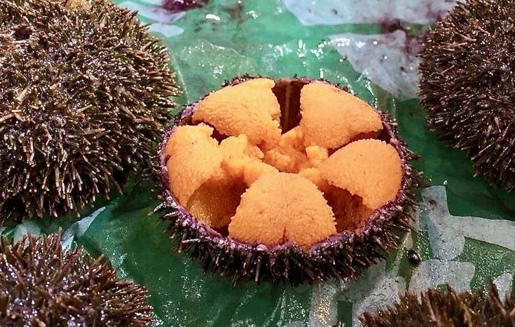 What to Eat at Osaka Kuromon Market Sea Urchin