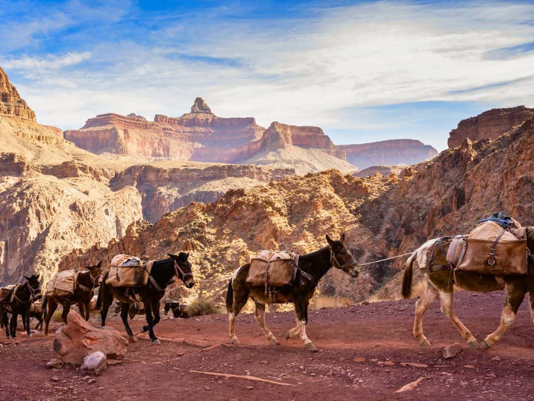 South Kaibab Trail