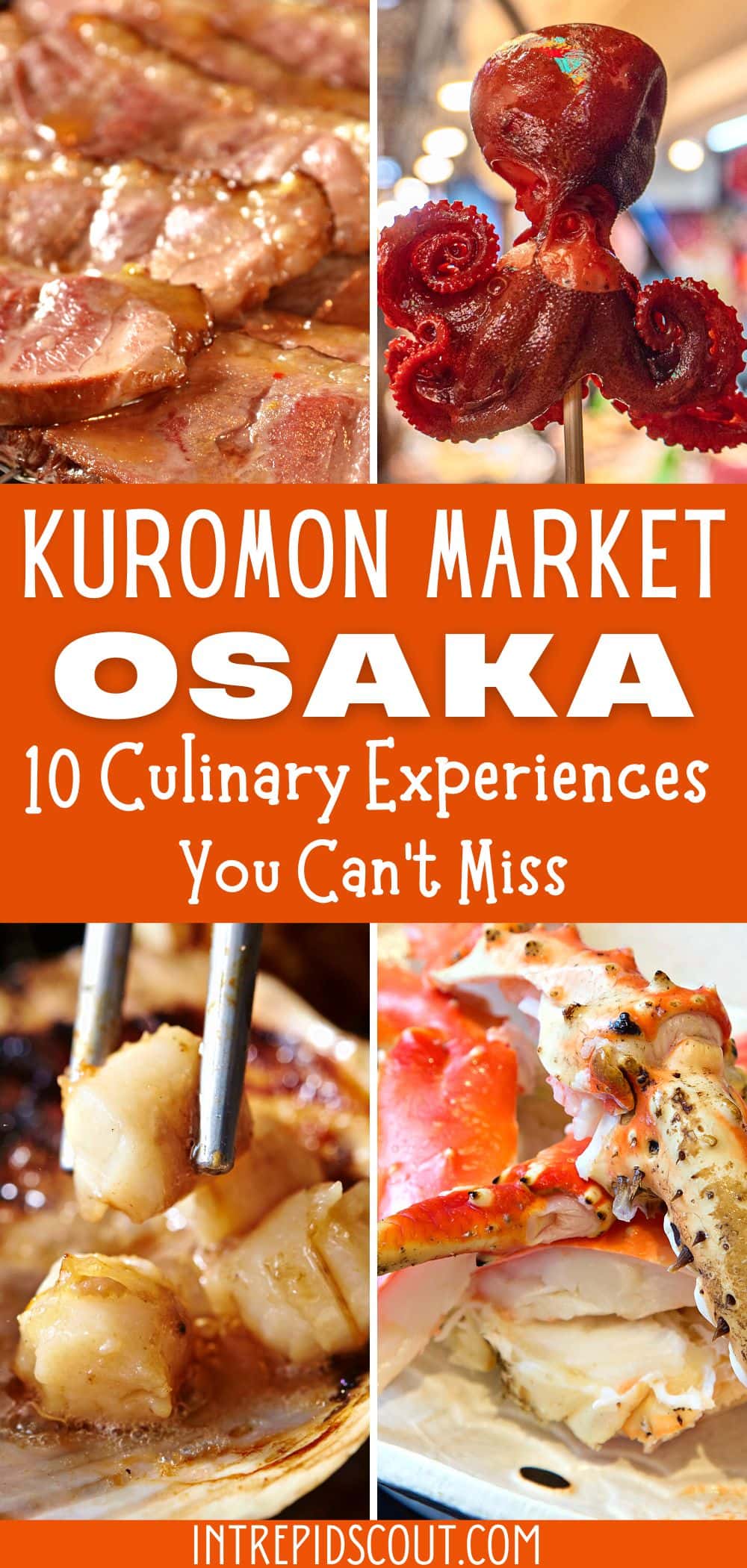 What to Eat at Osaka Kuromon Market What to Eat at Osaka Kuromon Market