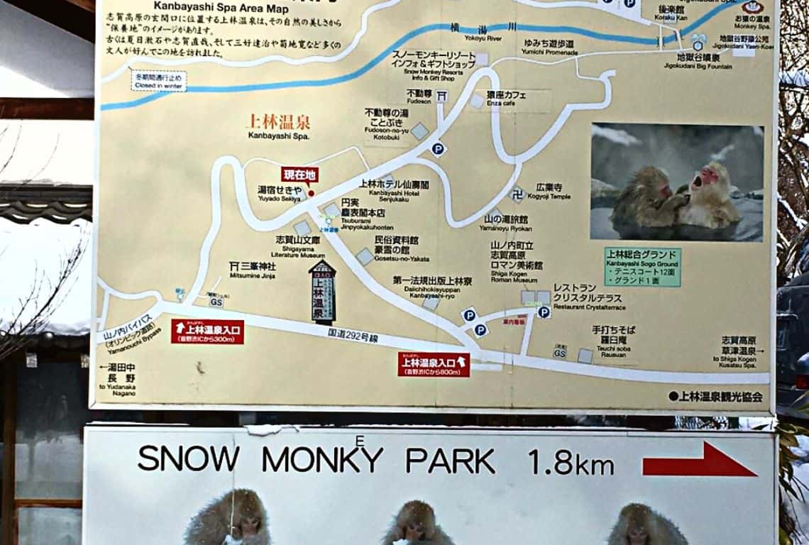 How to See Snow Monkeys in Japan