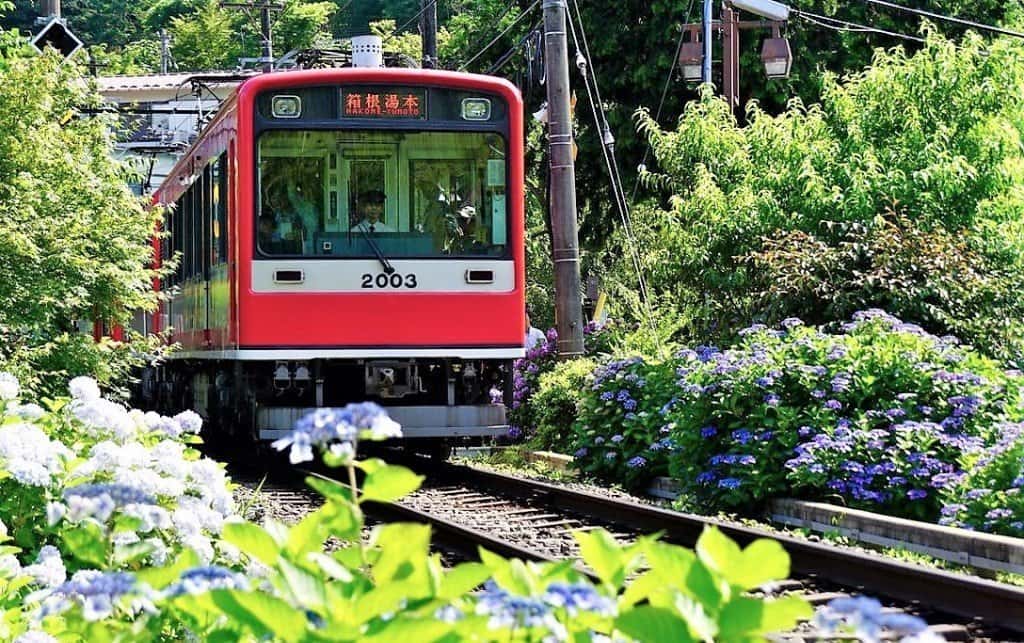 Things to Do in Hakone
