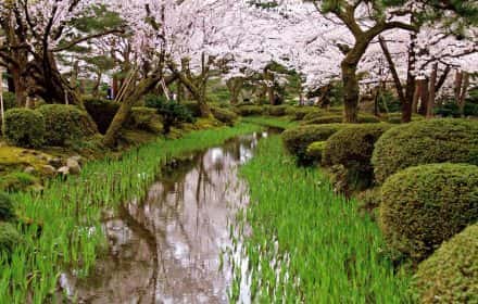 Guide to Kenrokuen Garden