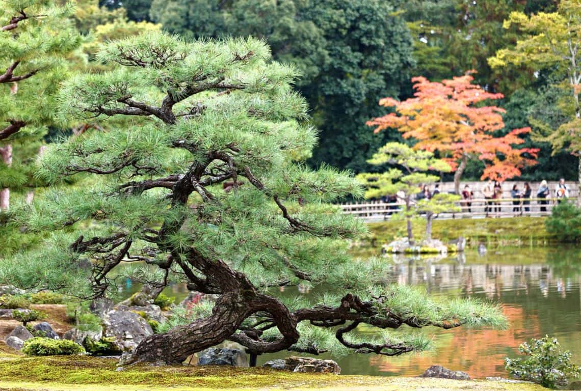 Golden Pavilion in Kyoto