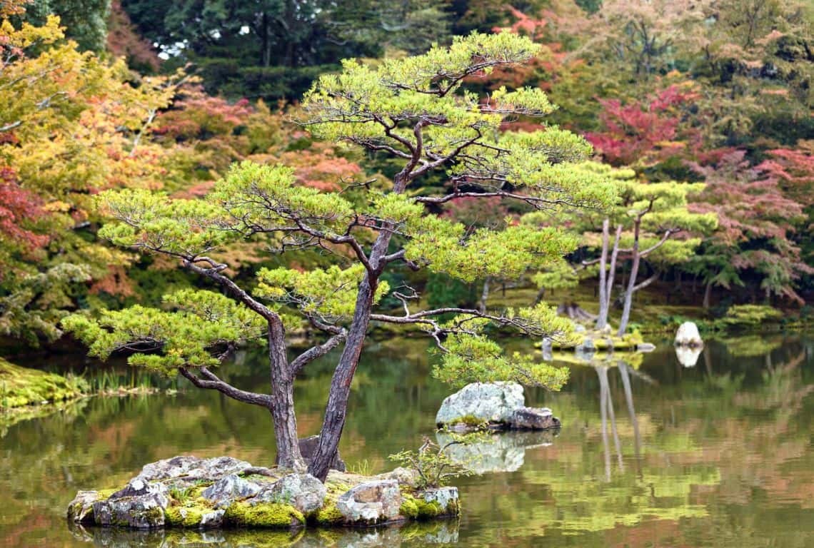 Golden Pavilion in Kyoto