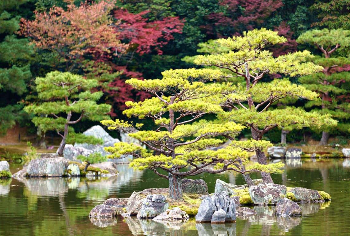 Golden Pavilion in Kyoto