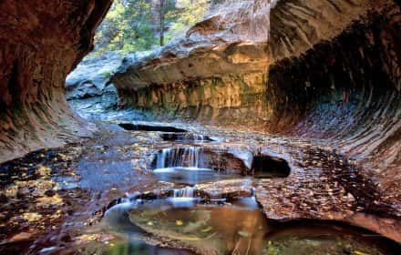 Most Scenic Hikes in Zion