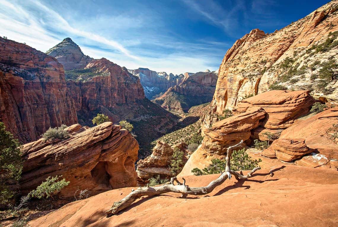 Canyon Overlook in Zion National Park