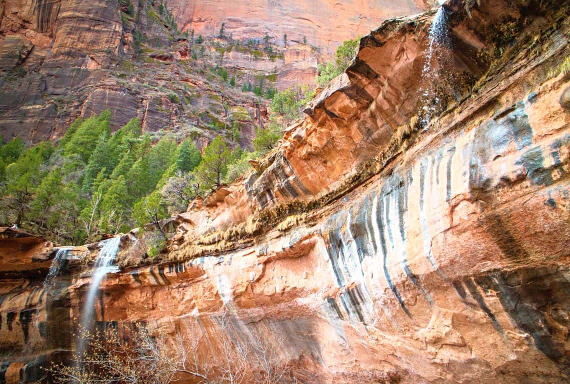 Great Hikes in Zion Emerald Pools Trail in Zion