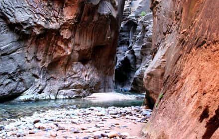 Hiking The Narrows for Beginners