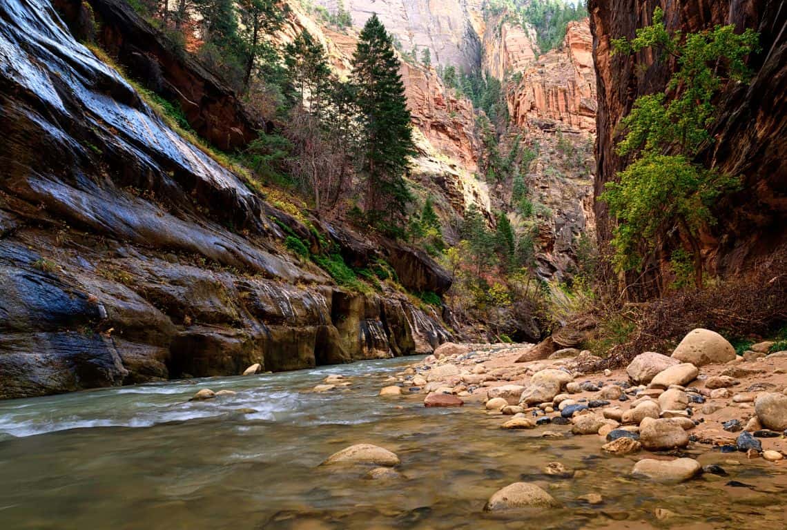 Riverside Walk in Zion