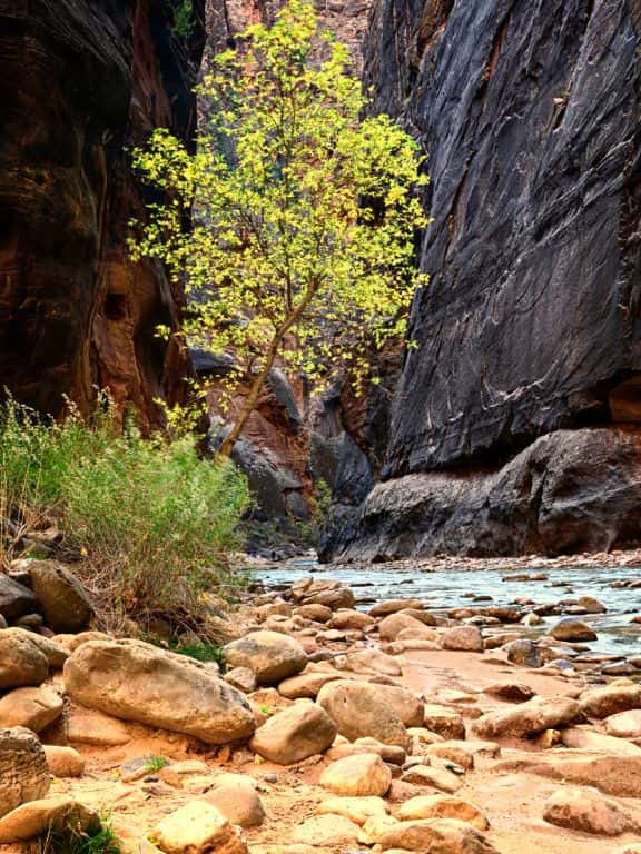 Great Hikes in Zion