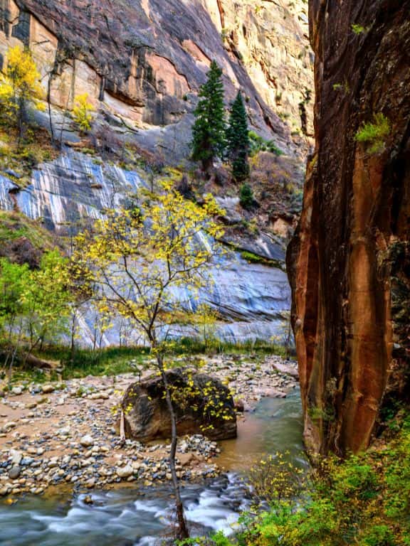 Riverside Walk Trail in Zion