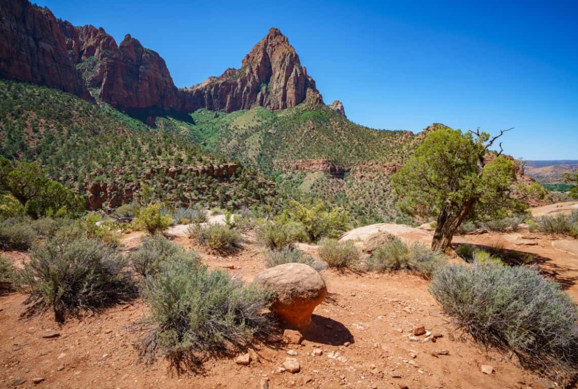 Great Hikes in Zion