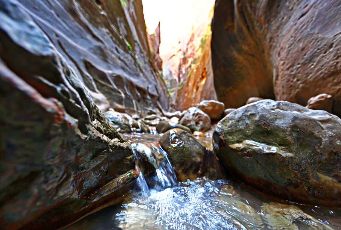 The Narrows in Zion