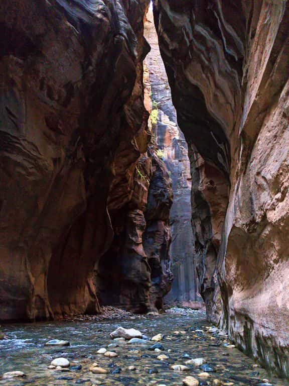Hiking the Narrows for Beginners The Narrows in Zion