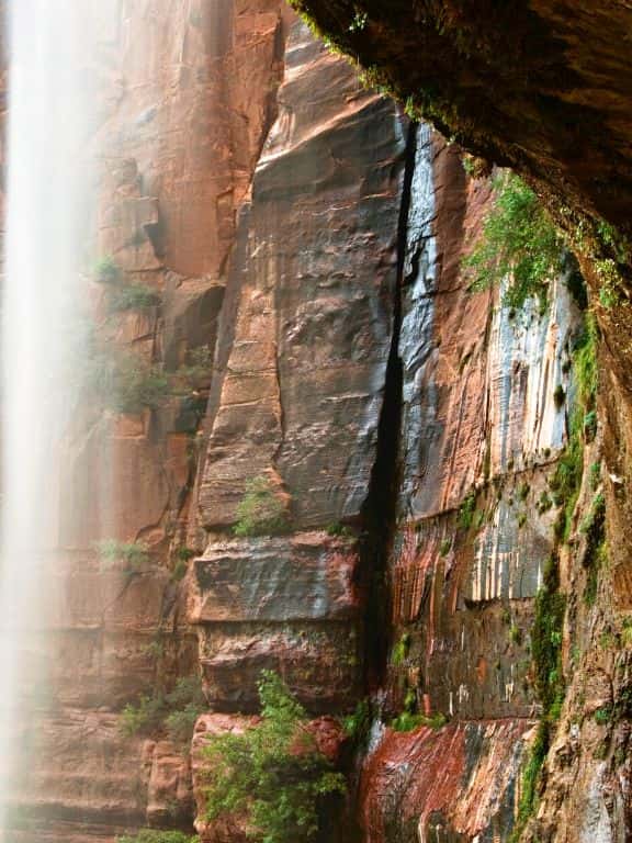 Weeping Rock Trail in Zion