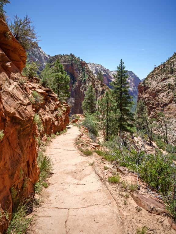 West Rim Trail in Zion