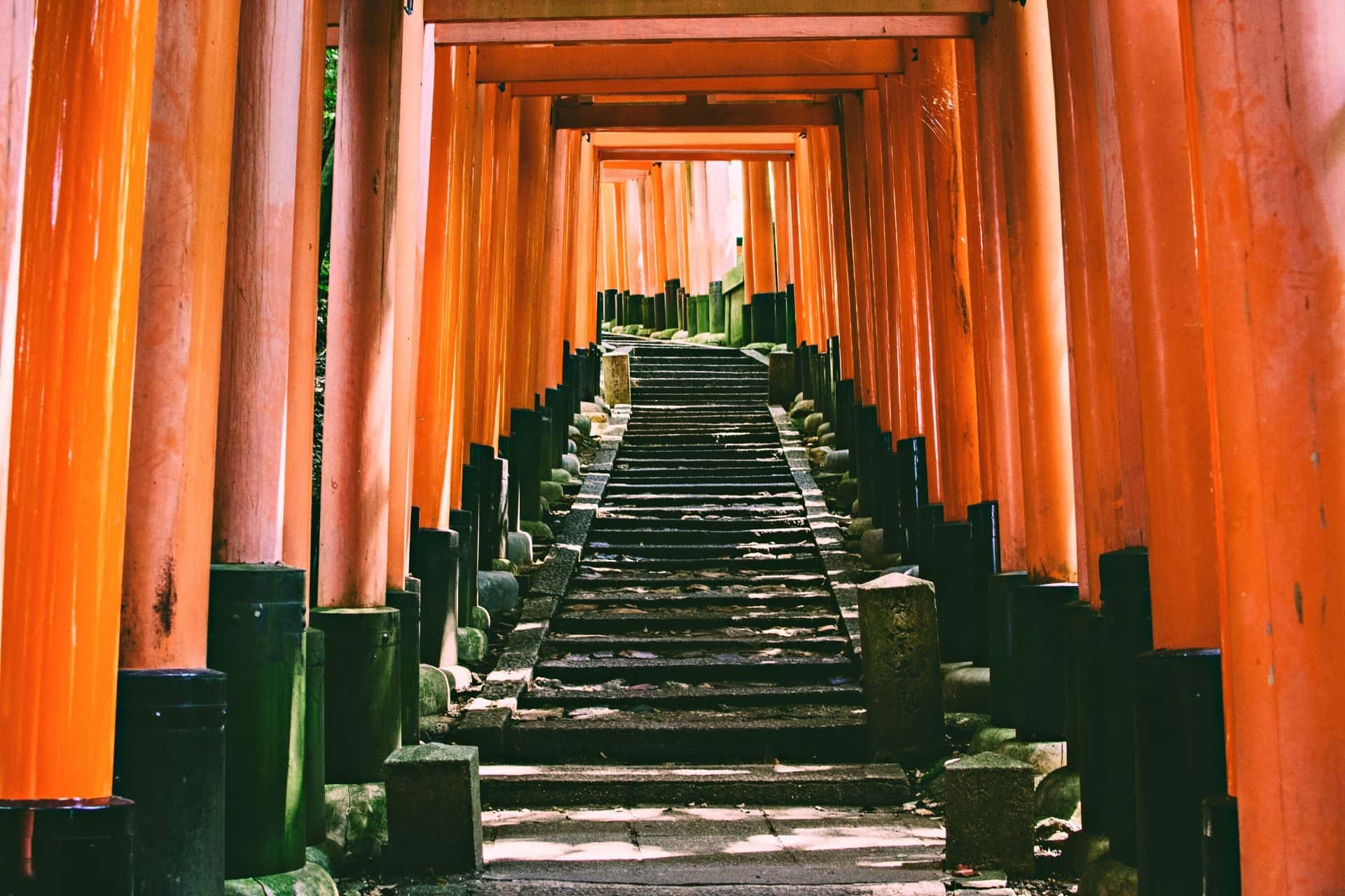 Fushimi Inari Taisha in Kyoto