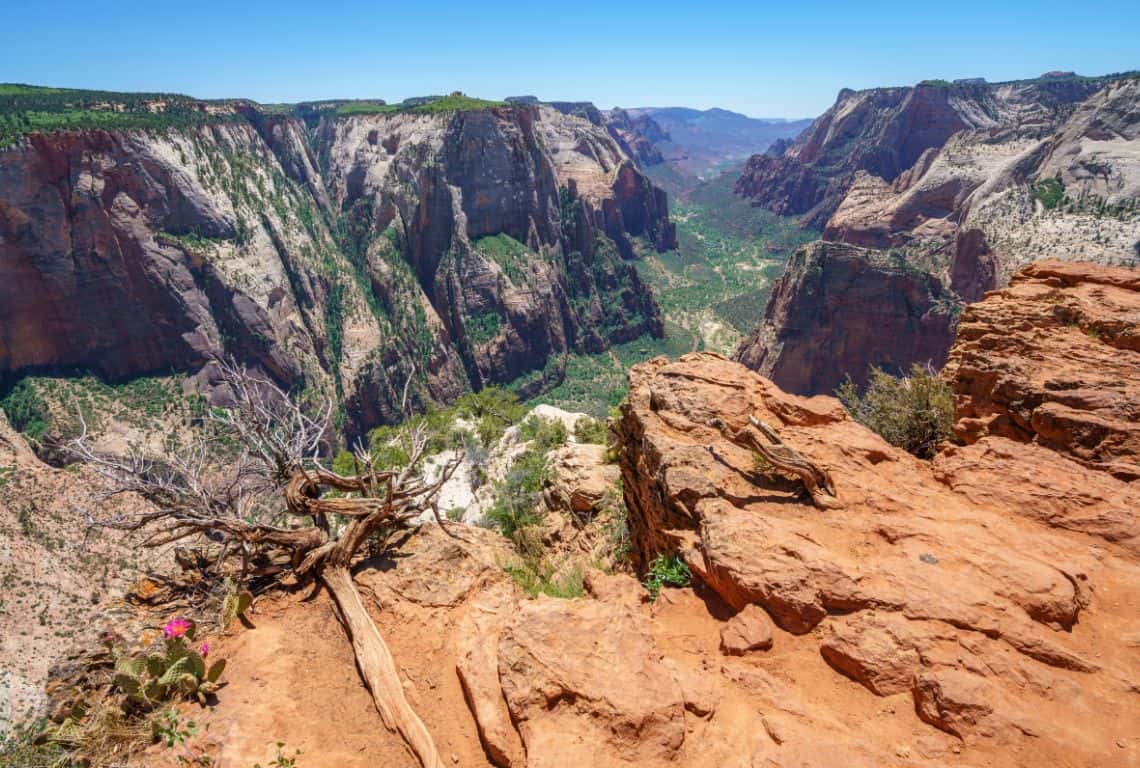 Observation Point Hike to Zion's Best View via East Mesa Trail 