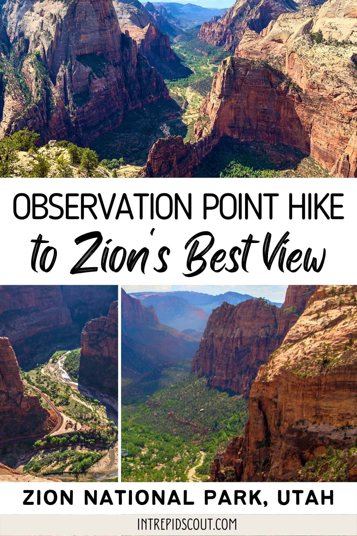 Observation Point Hike to Zion's Best View