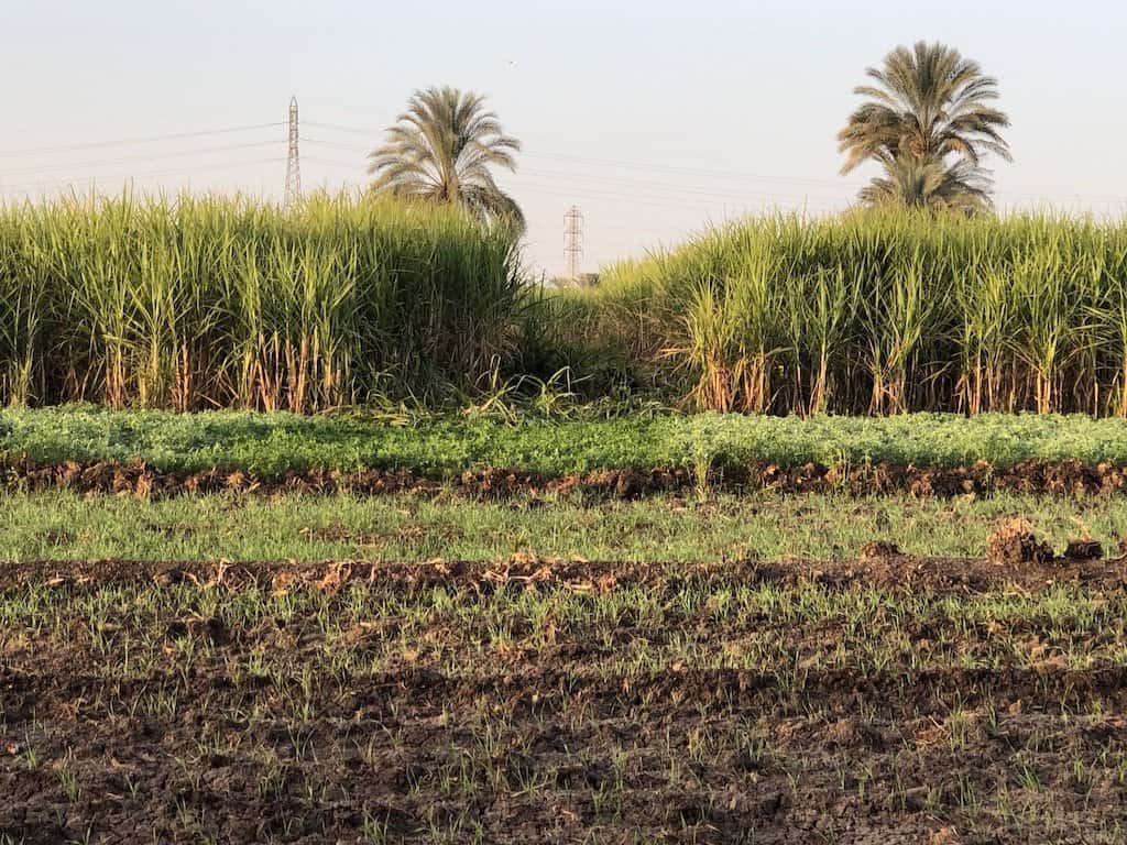 Tips for Hot Air Balloon Ride in Luxor