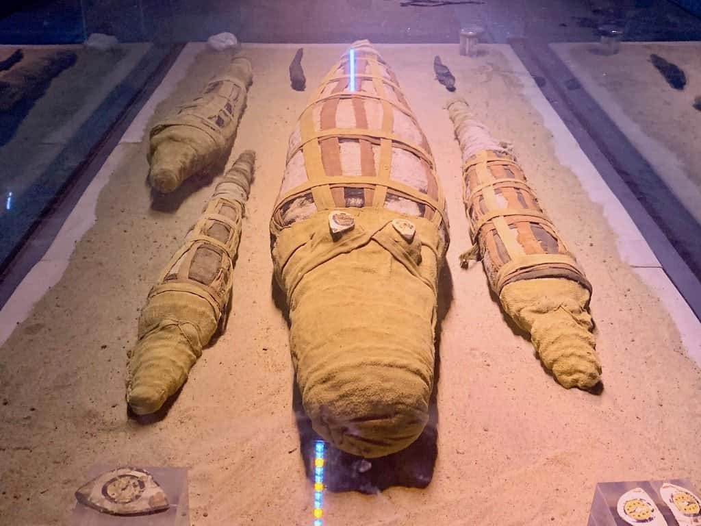 Visit the crocodile mummy museum in kom ombo