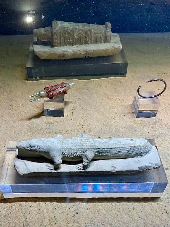 Visit crocodile mummy museum kom ombo