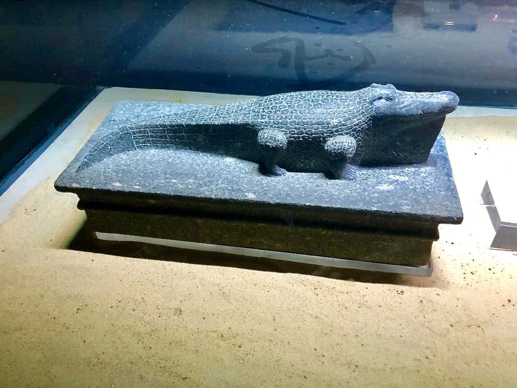Visit crocodile mummy museum kom ombo