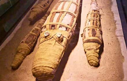 Why You Should Visit Crocodile Mummy Museum in Kom Ombo