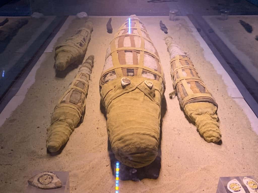 Crocodile Mummy Museum in Kom Ombo