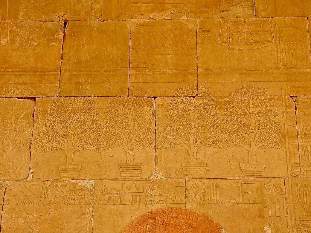 Temple of Hatshepsut things to see