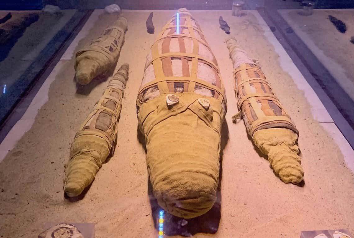 Crocodile Mummy Museum in Kom Ombo